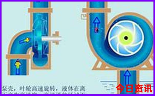 哪个地方的小龙虾最有名